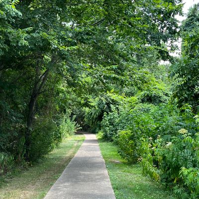 Trail to Tee 5.