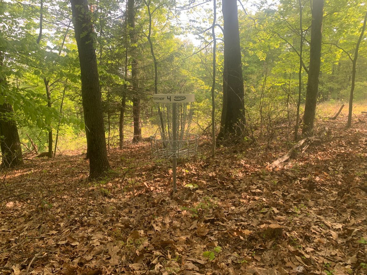 Another wooded hole