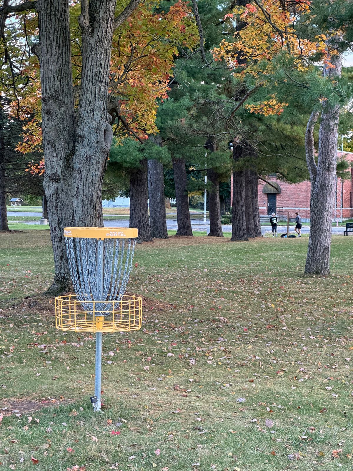1 Basket (view down Blue fairway)
