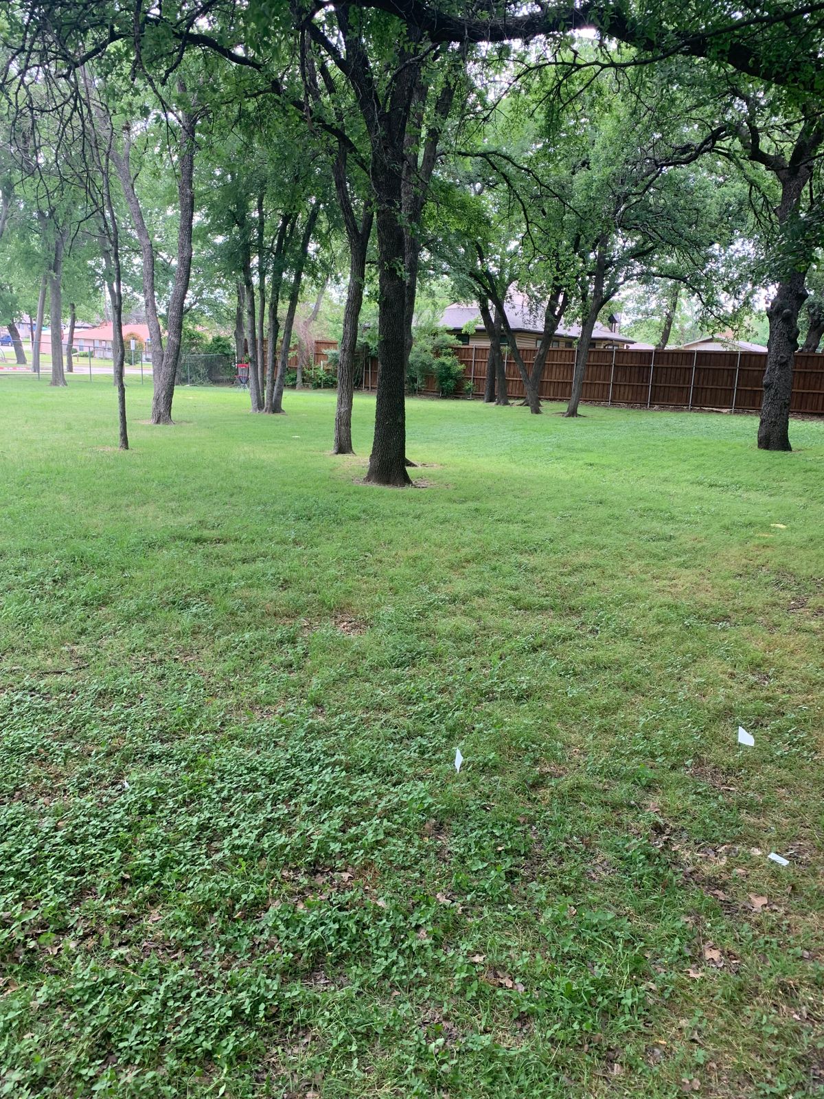 Hole 5