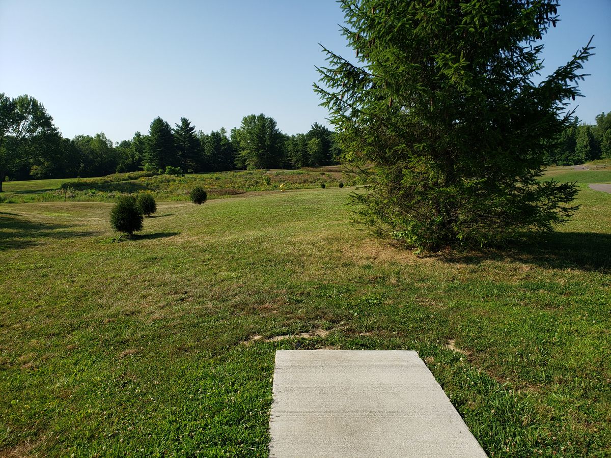 #8 Long Tee Box and shot view.