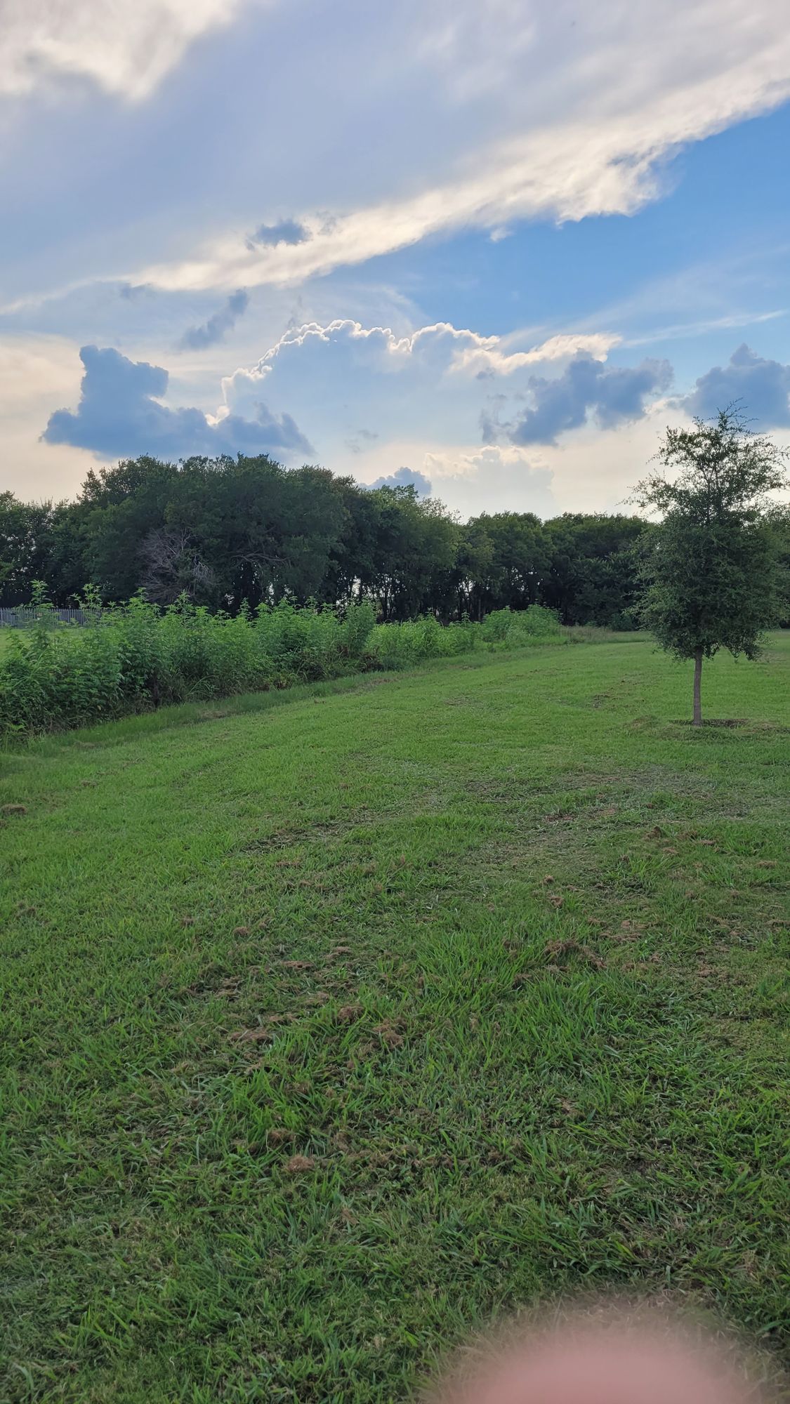 Hole 7, overgrown
