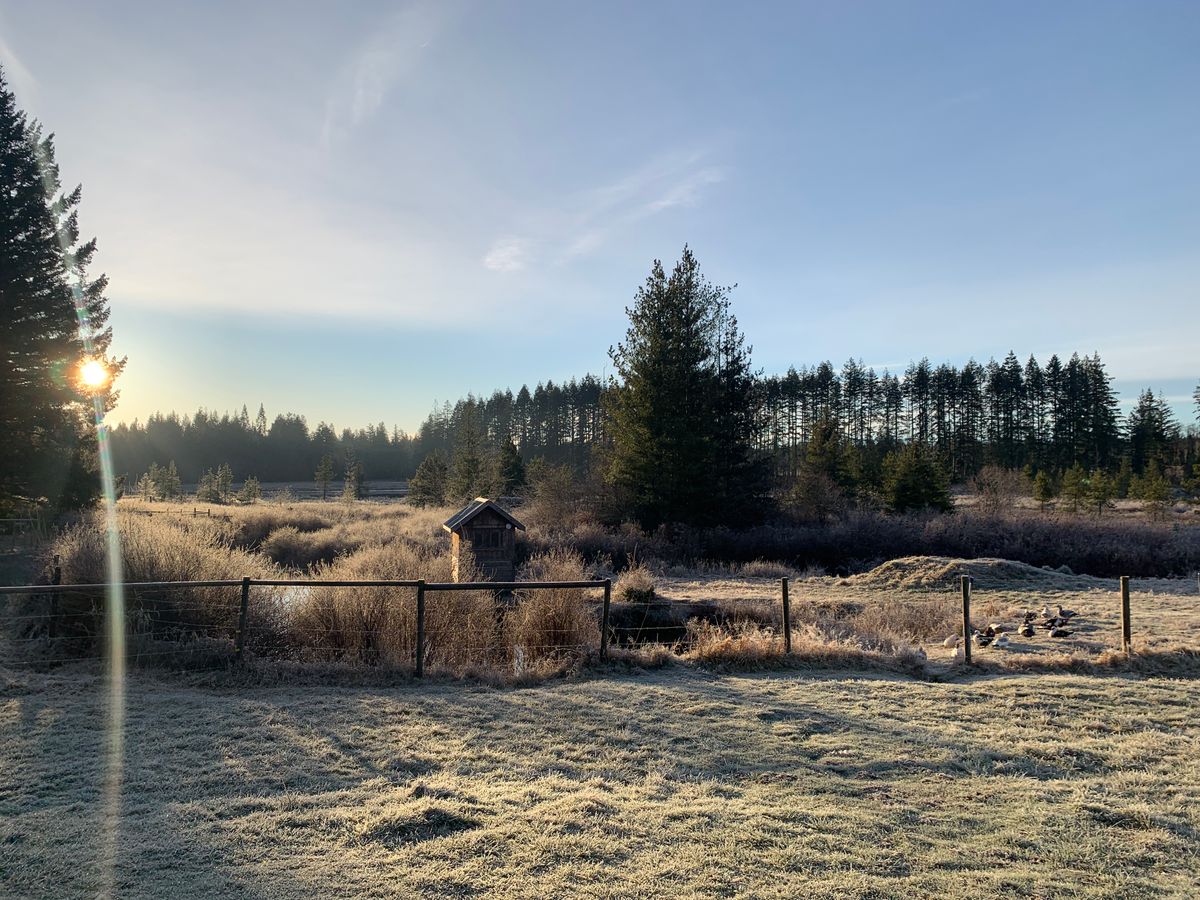 Hole 18 in the early morning sunshine.
