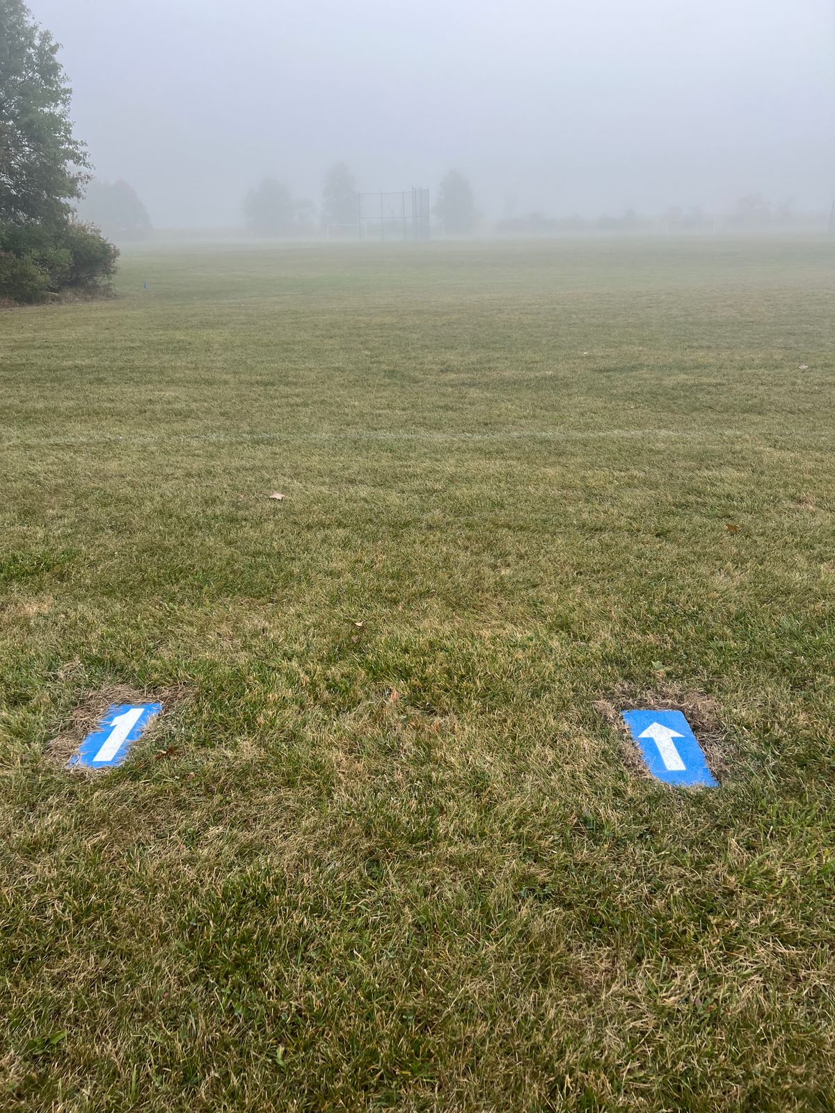 Each Tee is marked with blue pavers with hole number and directional arrow.
