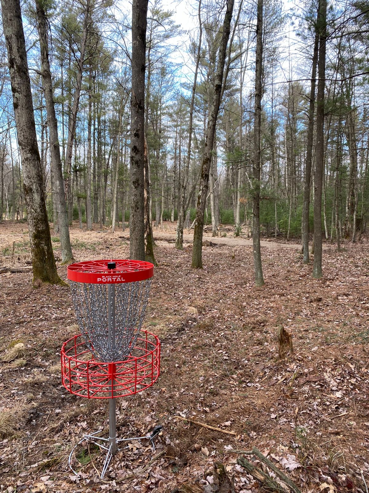 Hole 7 basket looking back at fairway