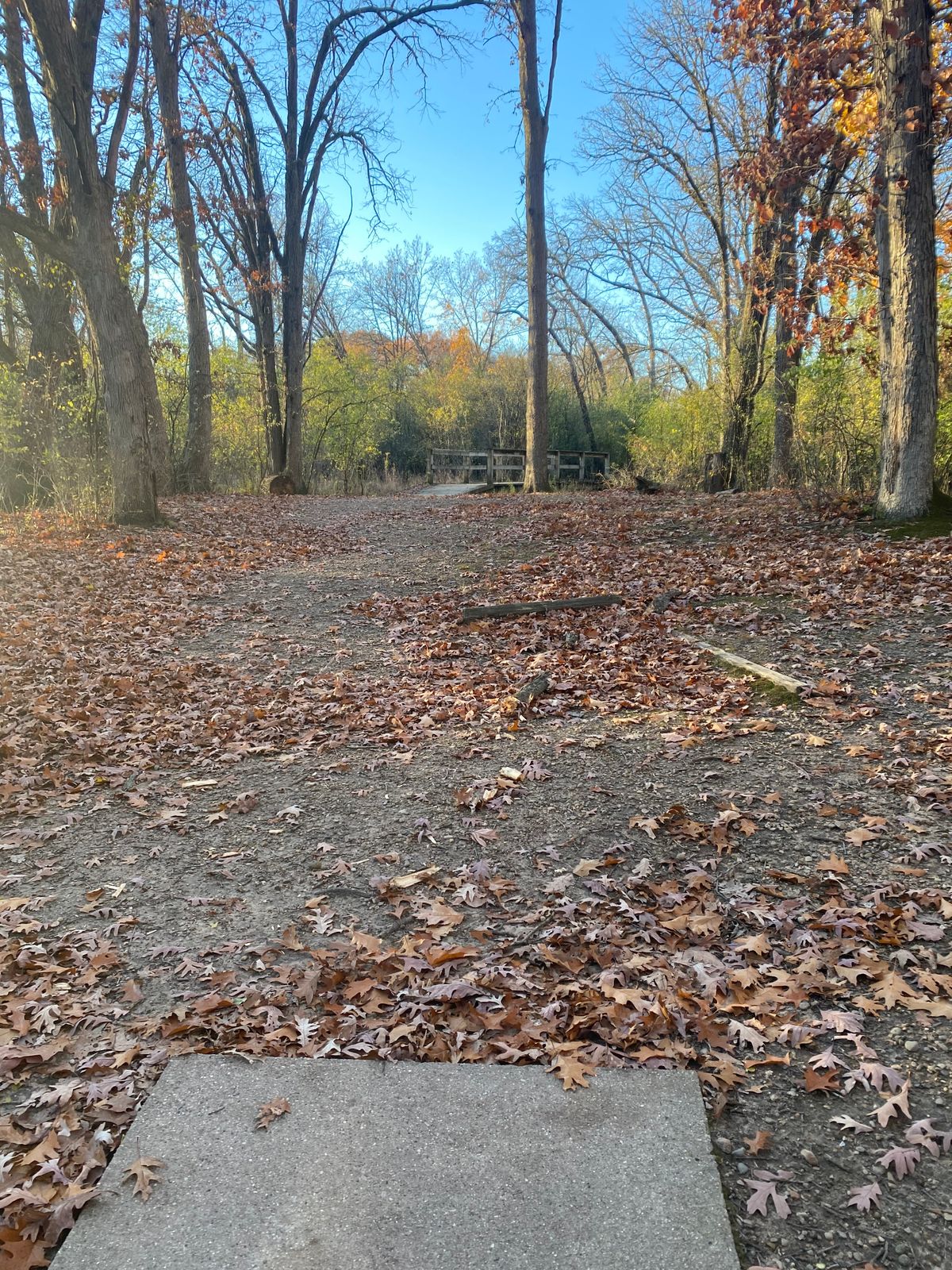 Hole 6 Tee Pad