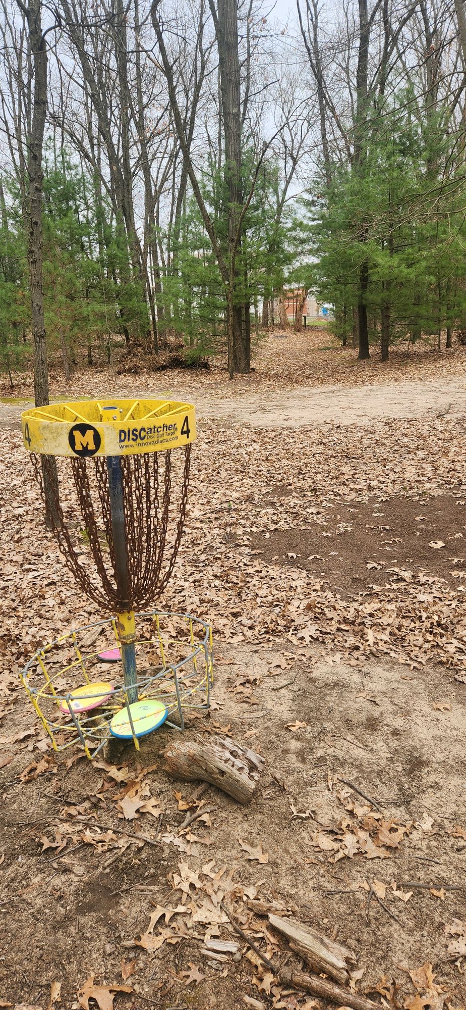 4s basket to tee pad veiw