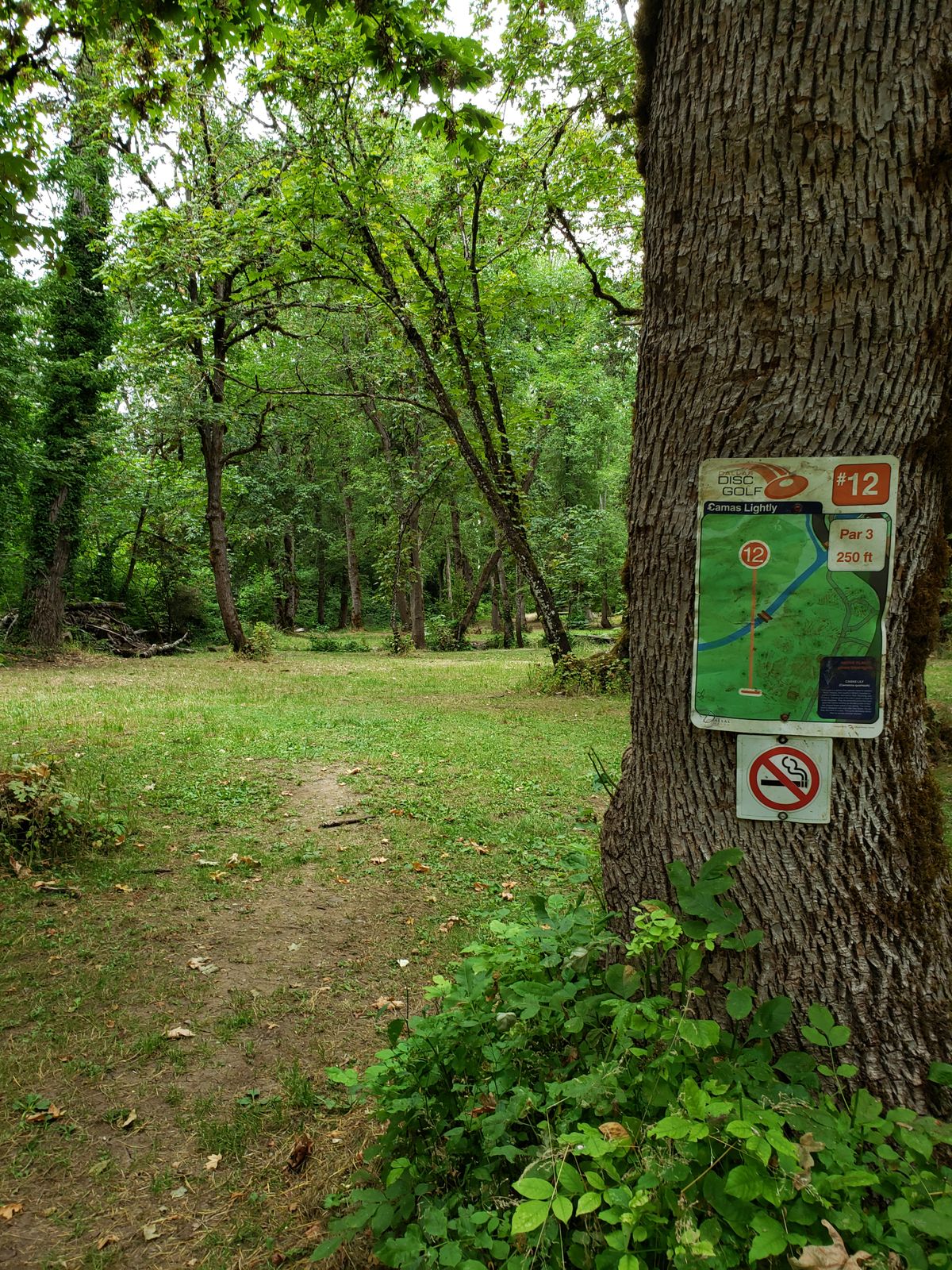 Hole 12