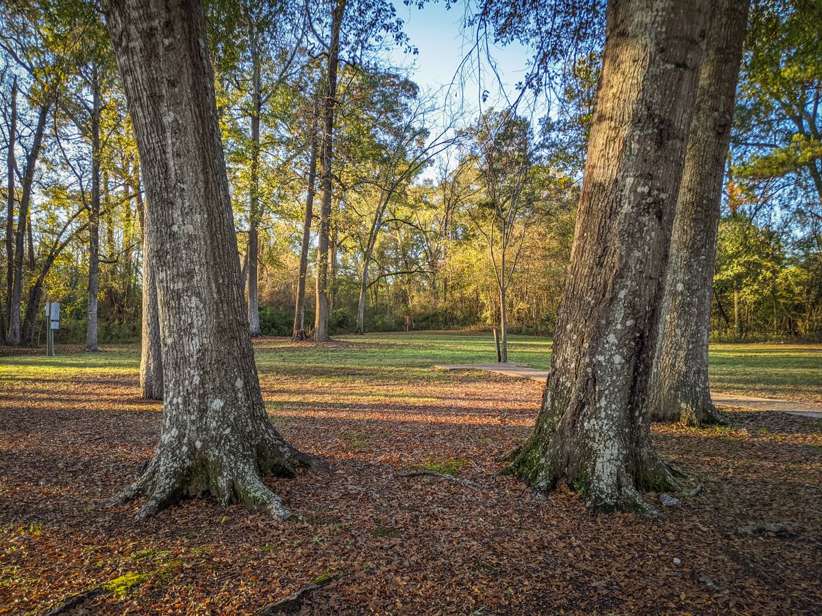 Hole 10 Tee