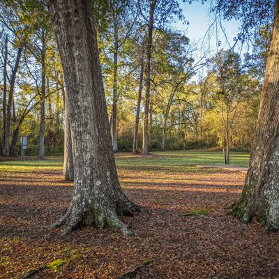 Hole 10 Tee