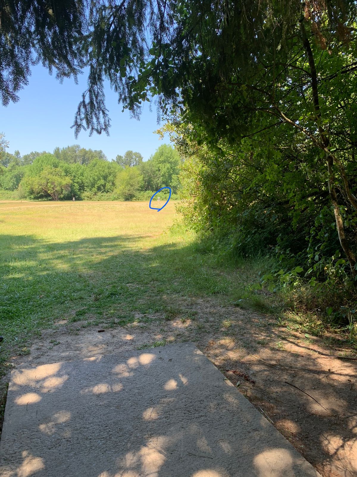 Hole 5