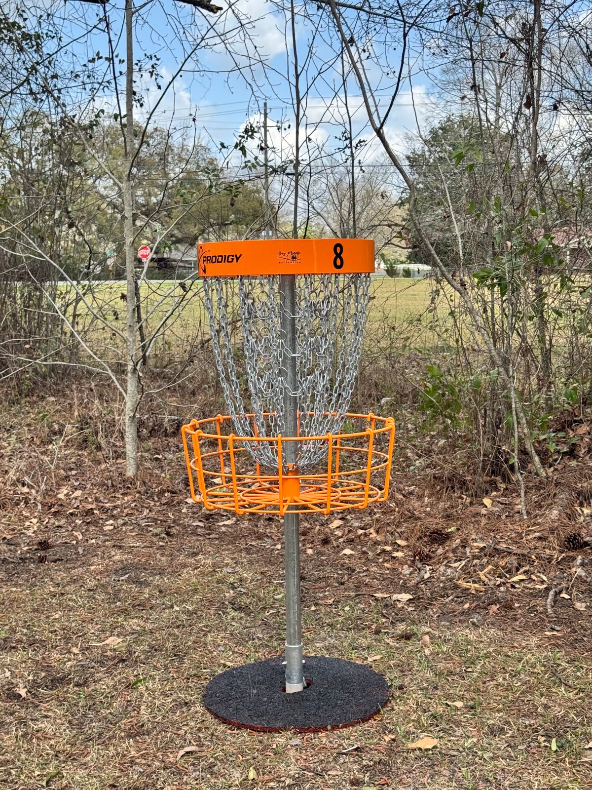 Hole 8 basket