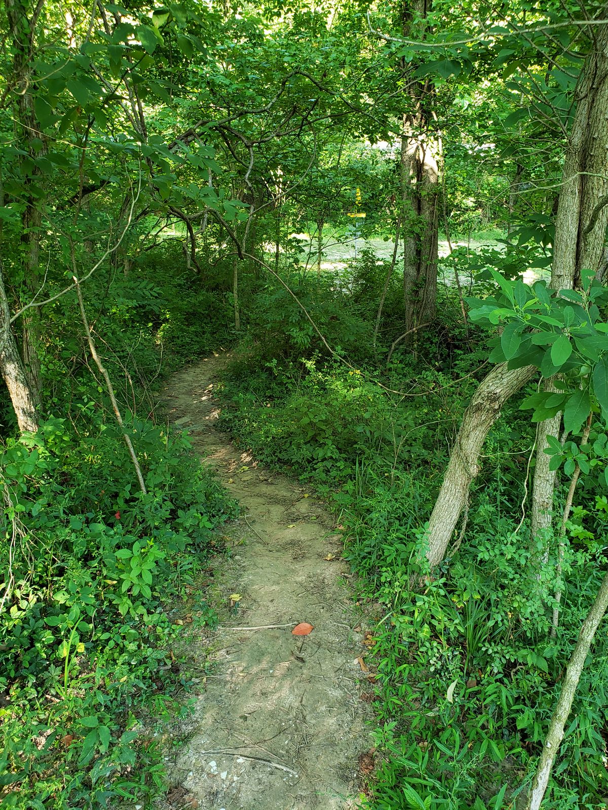 Path from #3 to #4.