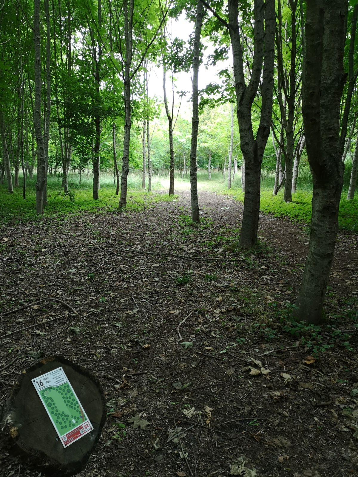 View from White Tee Hole 16