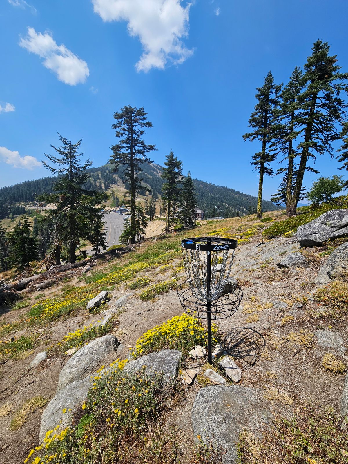 View from Basket 3 back to Tee 3