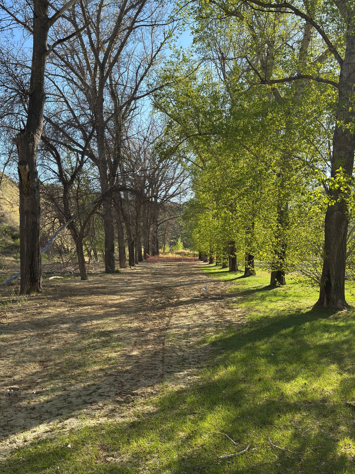 Hole 4