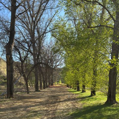 Hole 4
