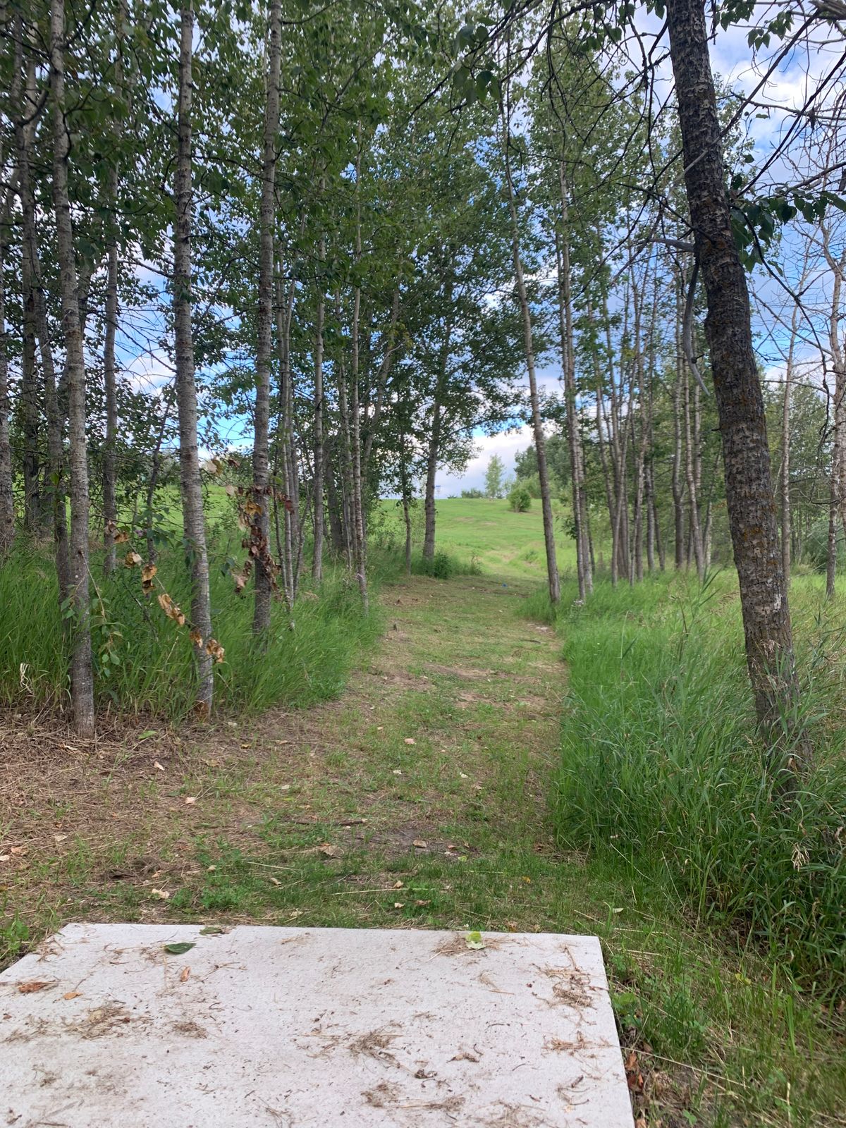 Hole #8 TeePad
