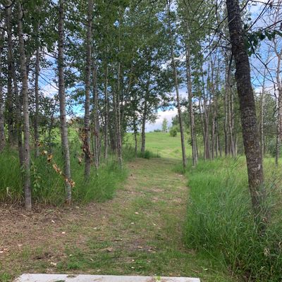Hole #8 TeePad