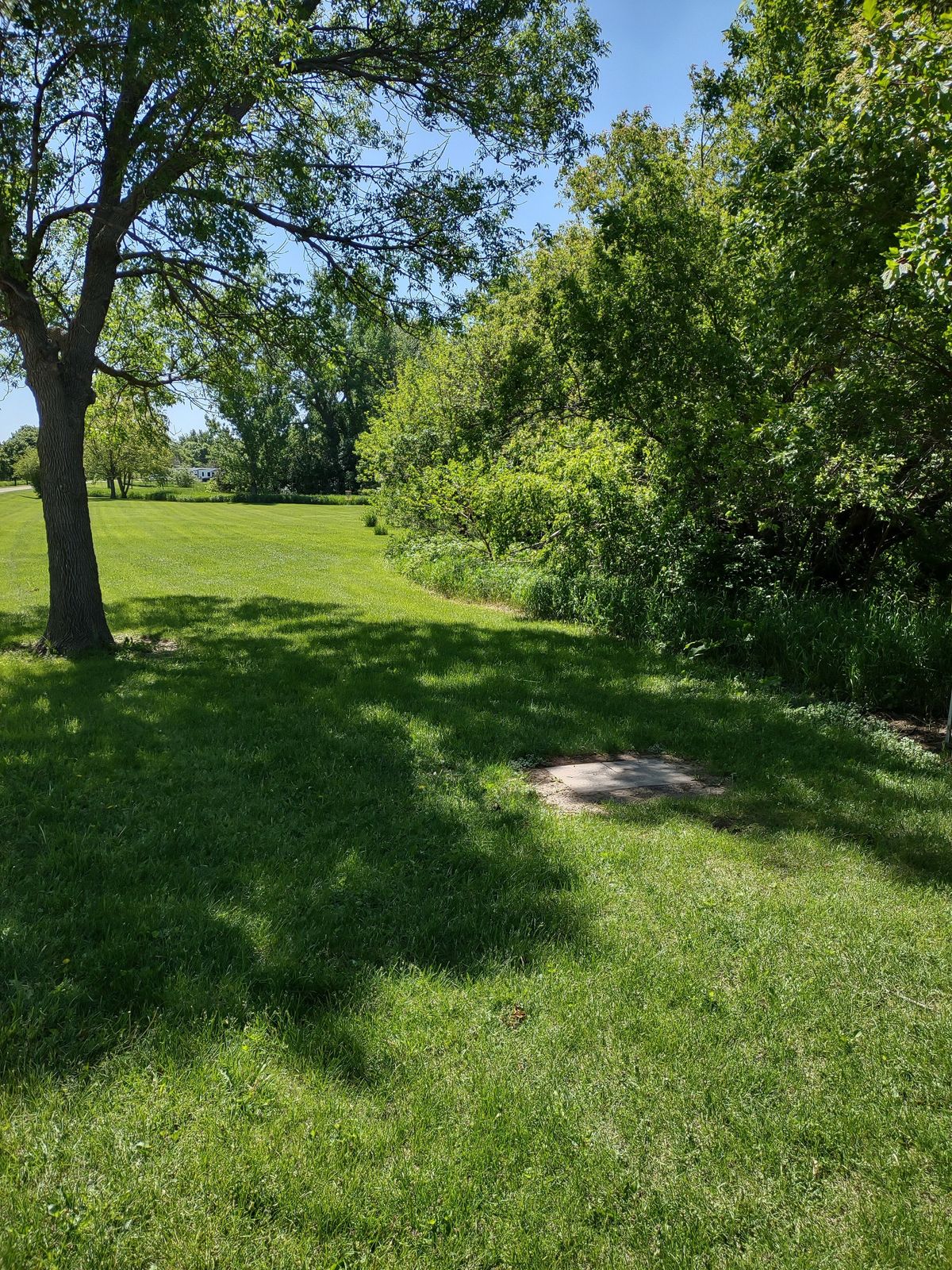 Hole #7 yellow tee