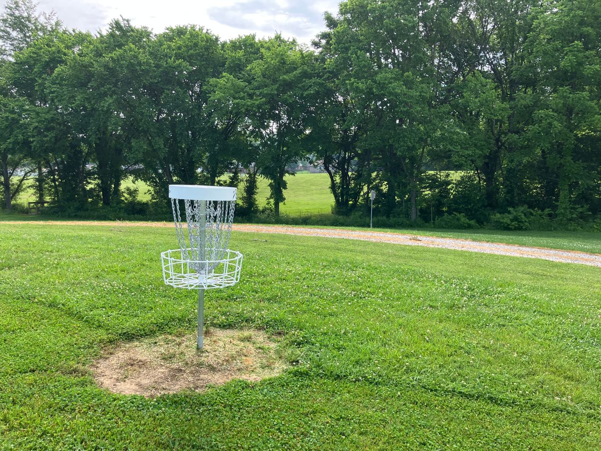 Hole 14 basket looking at the gap towards the tee.