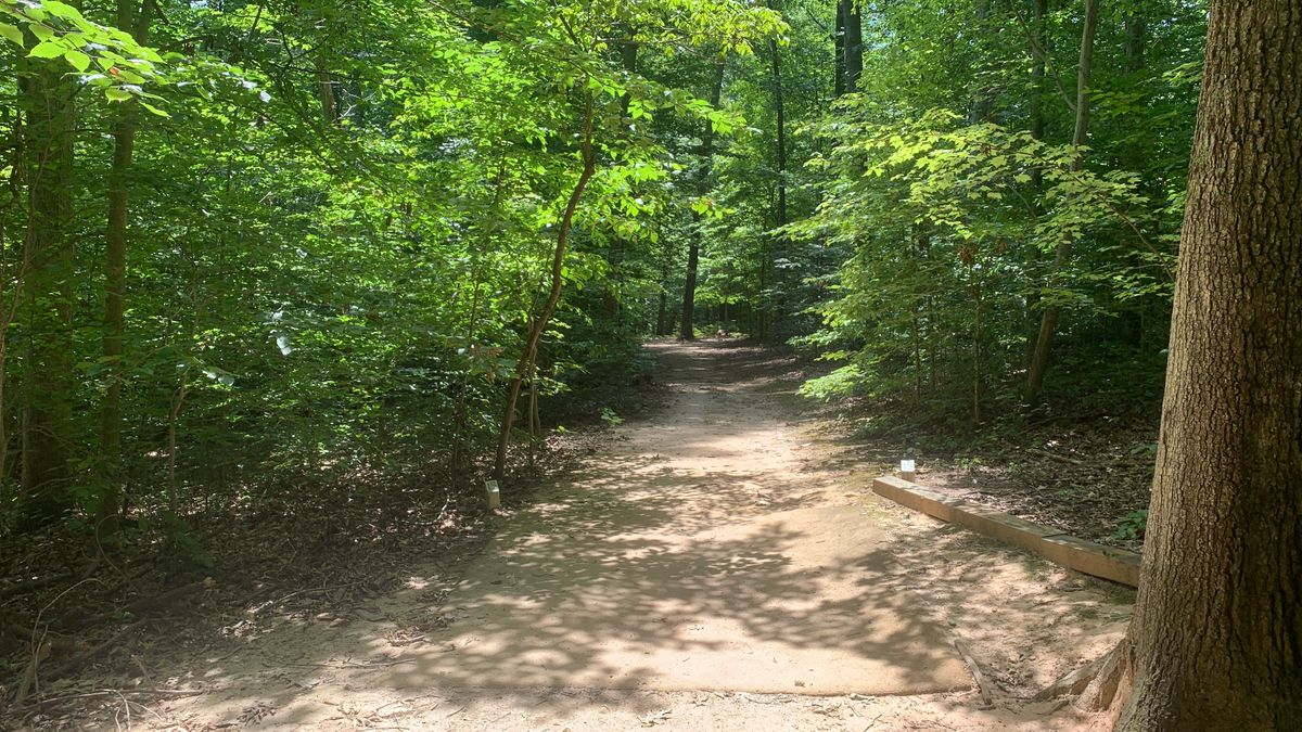 Hole 15