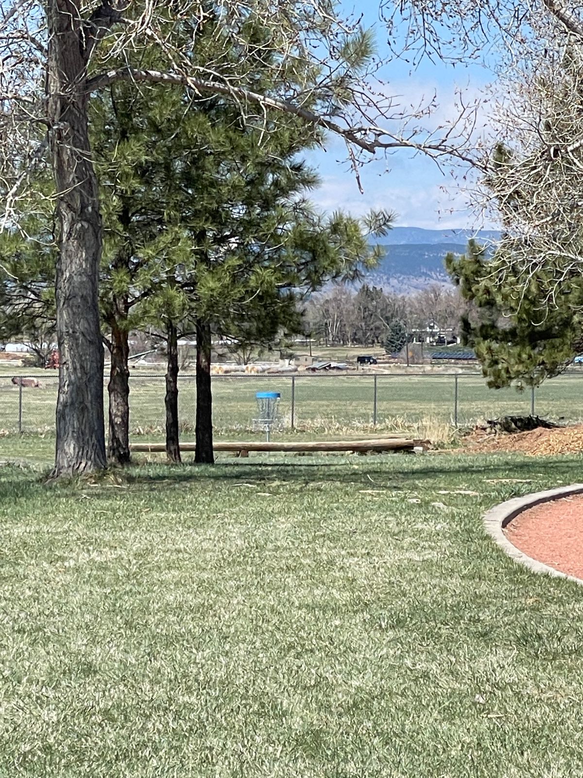 #5 fairway / basket