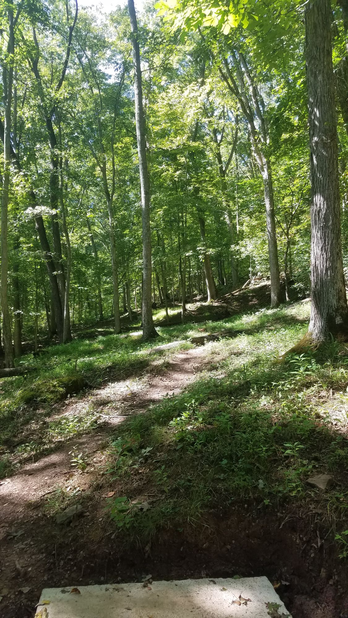 Hole #8 - Short Tee