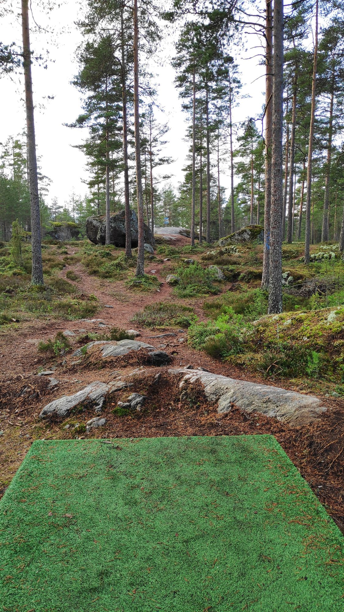 Väylä 17