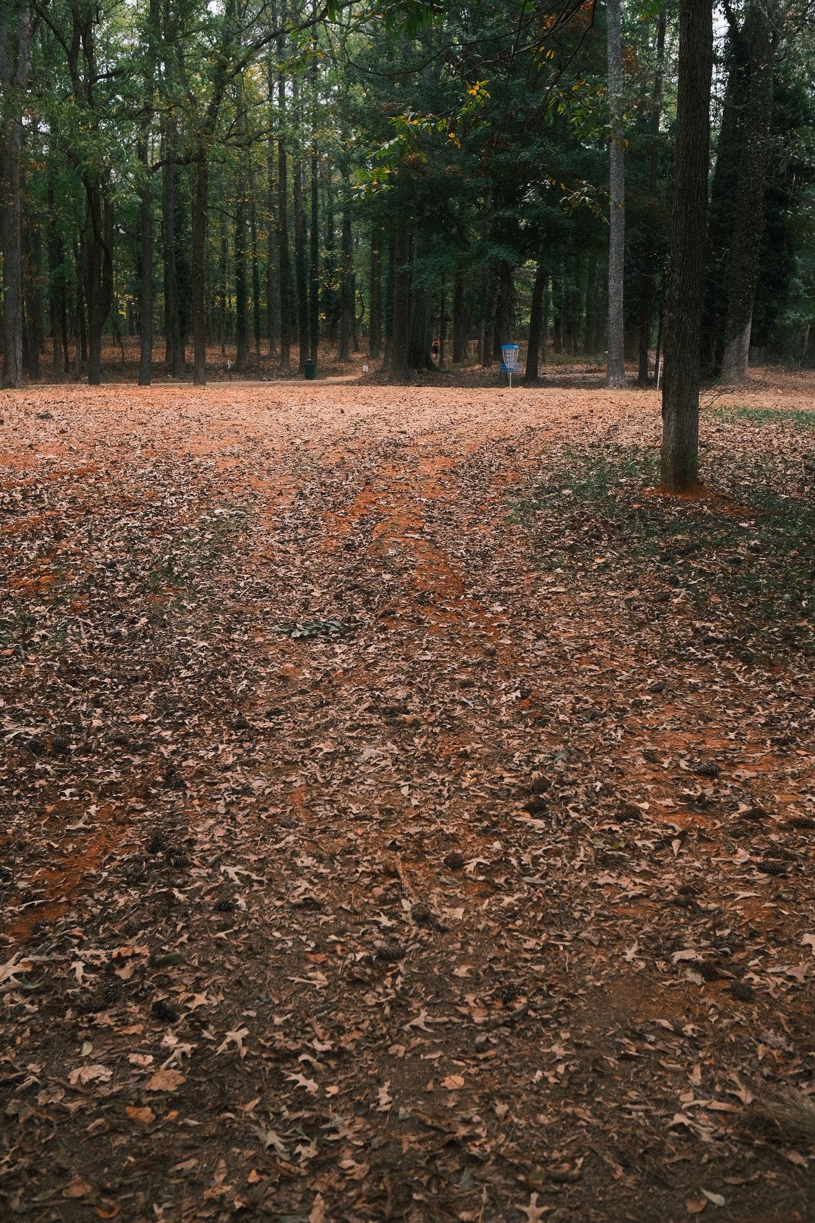 #8 fairway