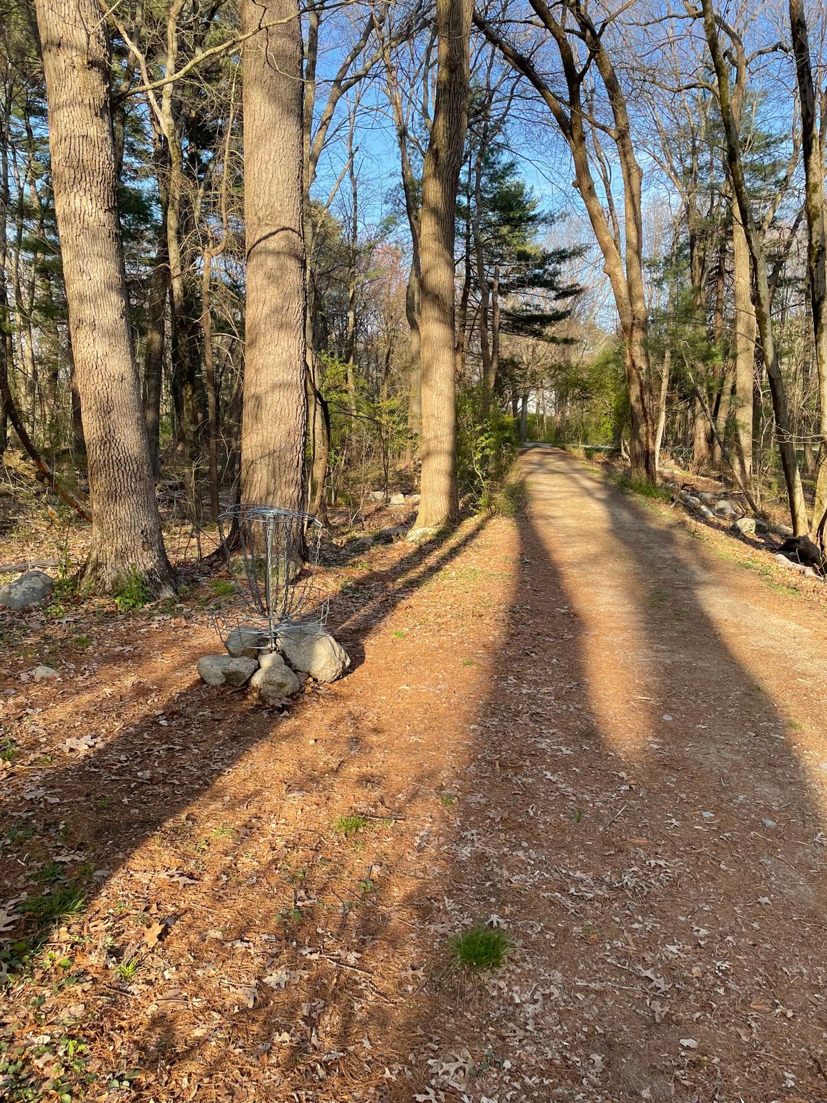 Basket of Hole 8