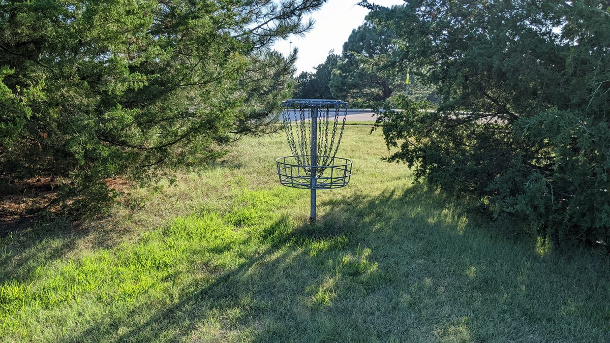 Basket 8, Tee #9 beyond trees