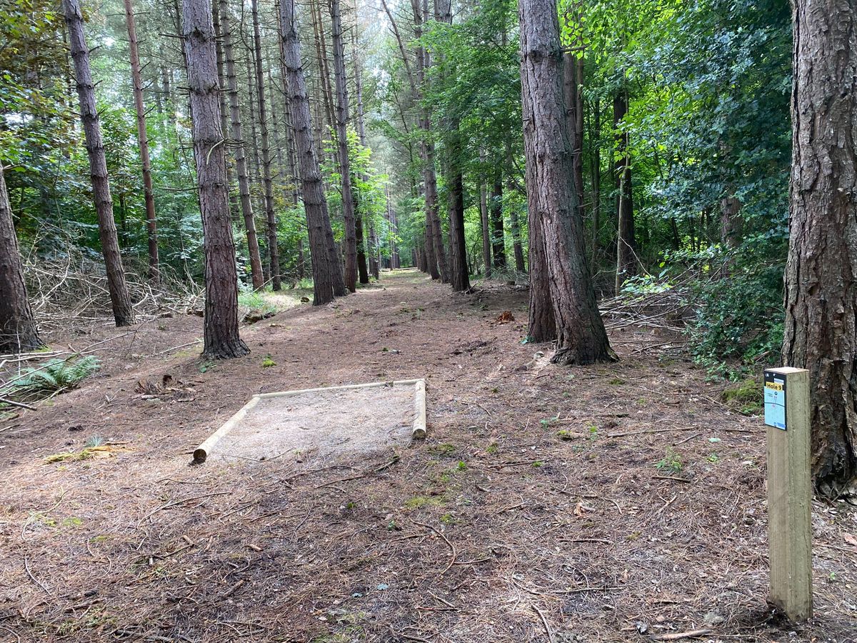 Hole 9 - Long