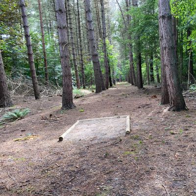 Hole 9 - Long