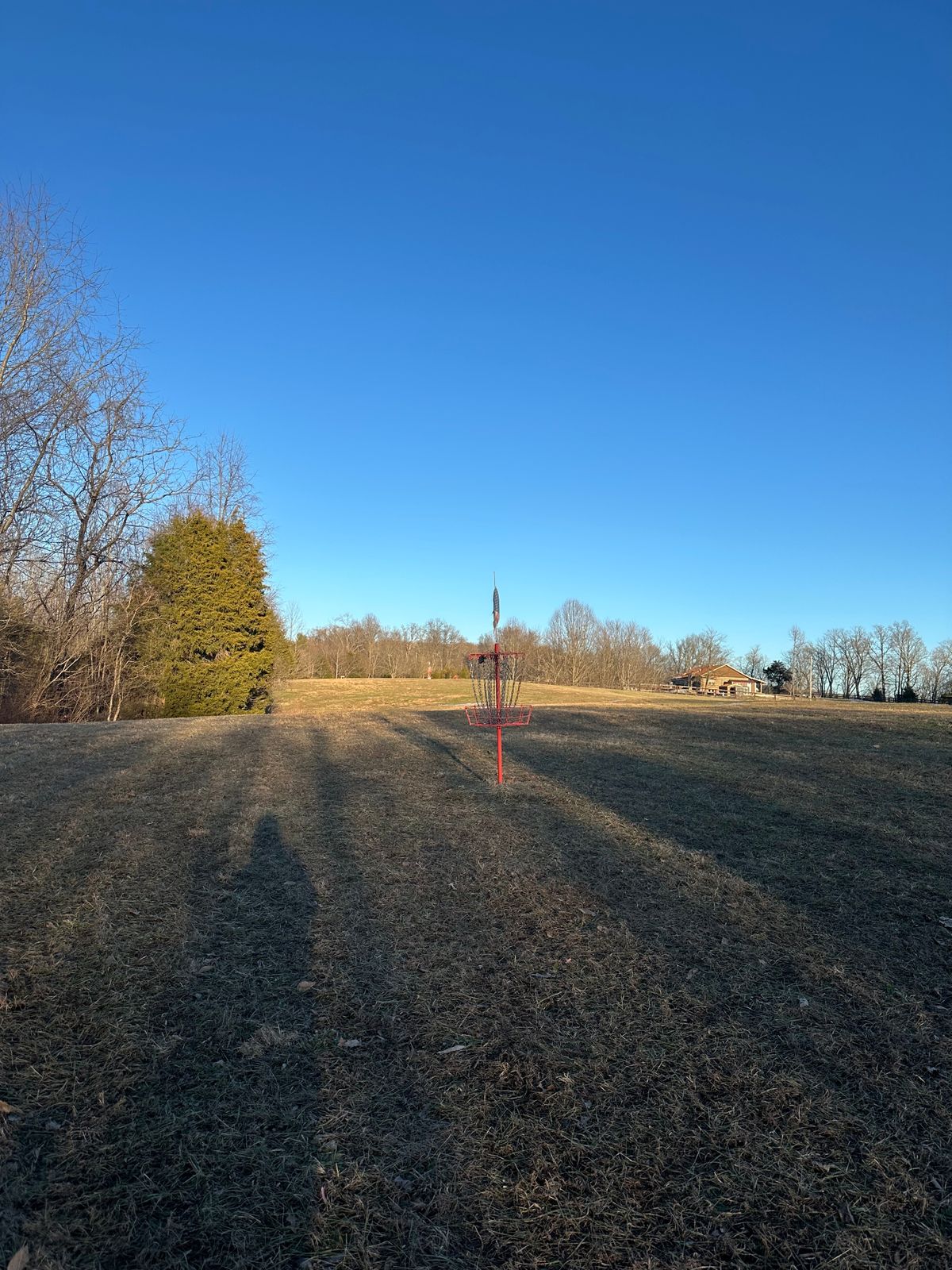 Hole 6 basket
