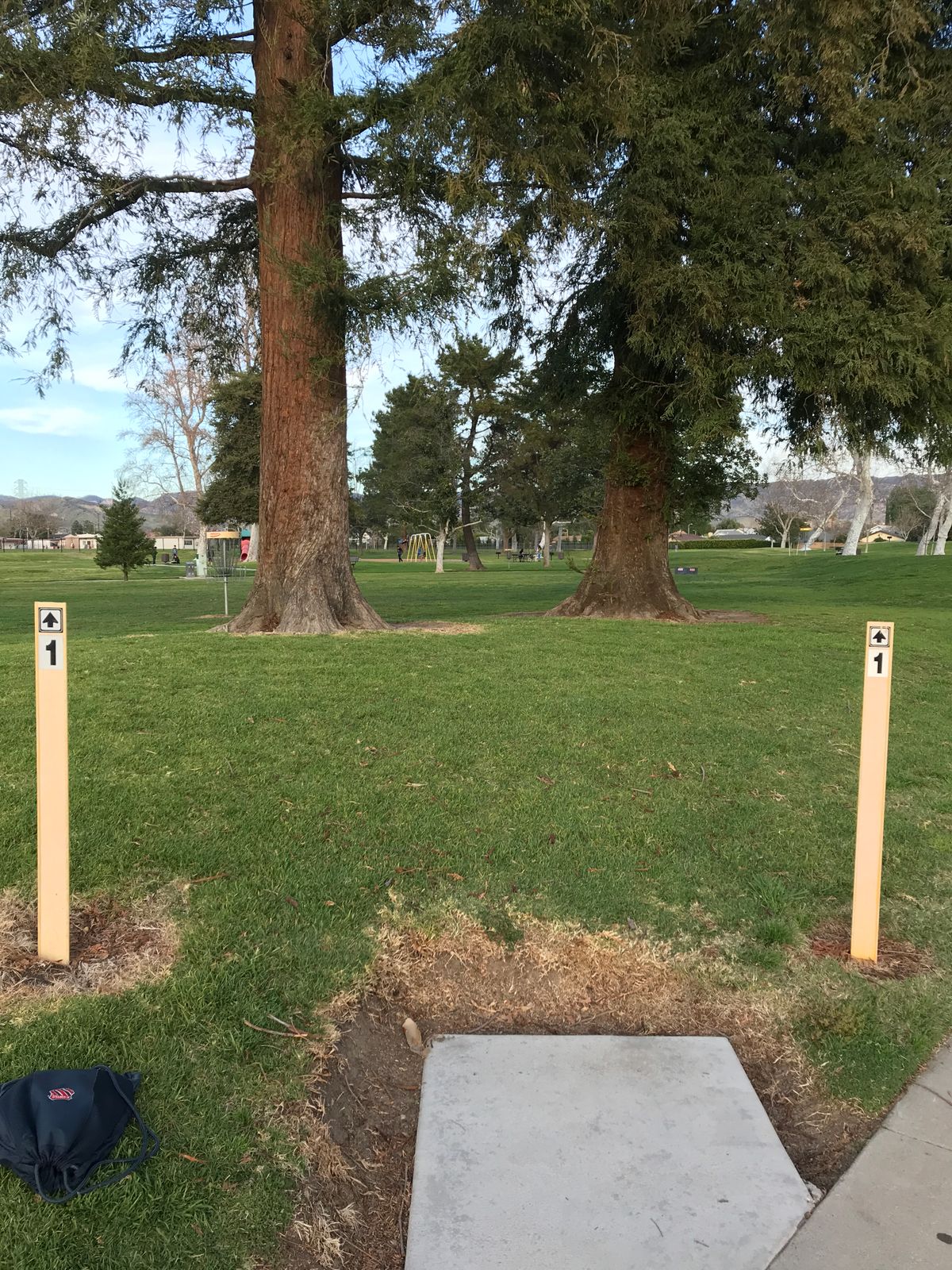 Tee for Basket #1