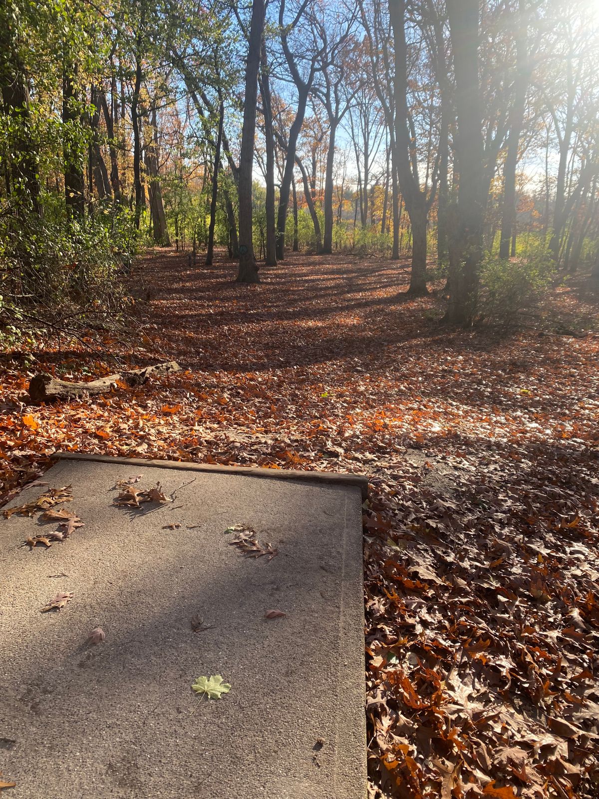 Hole 1 Tee Pad