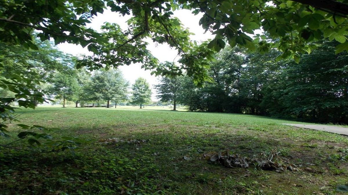 Hole 2 tee