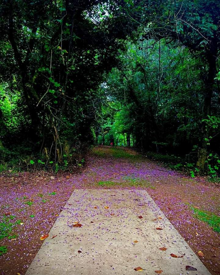 Hole 4