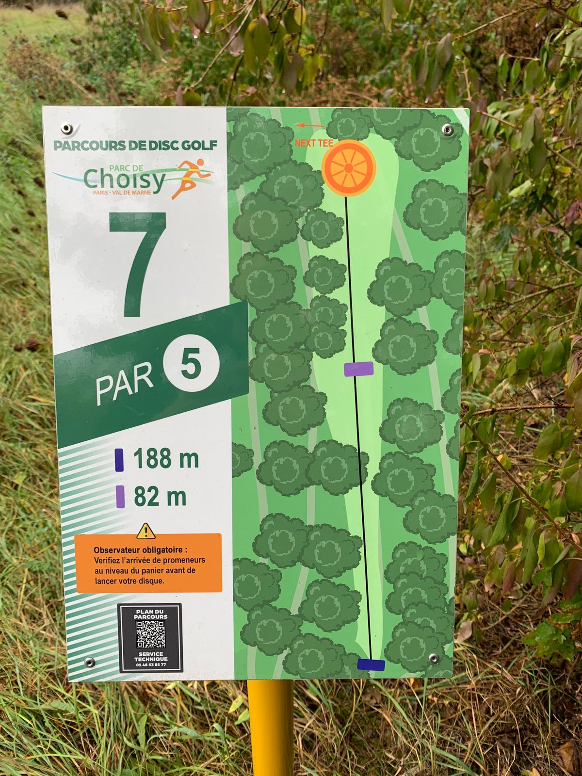 Tee 7