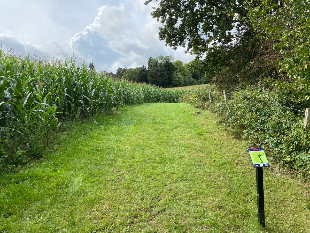 Hole two short tee