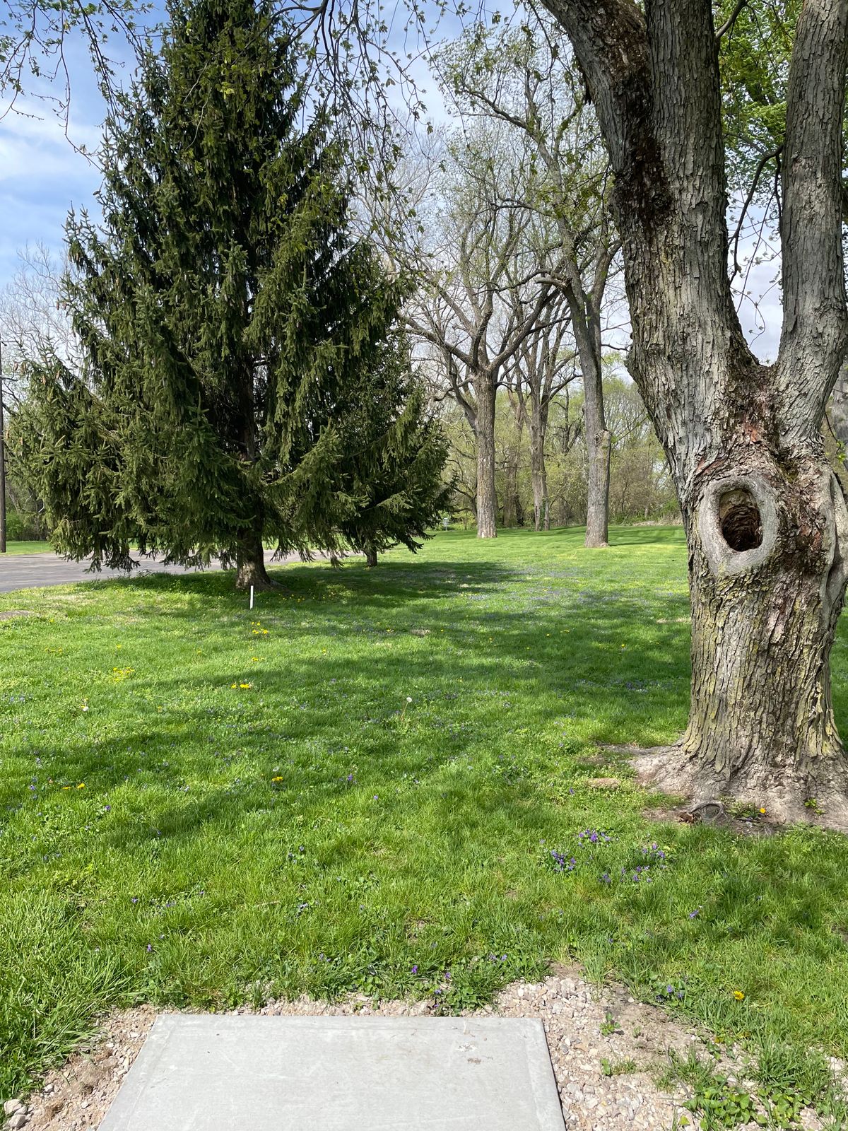 Hole 6 long tee