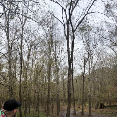 Hole 2