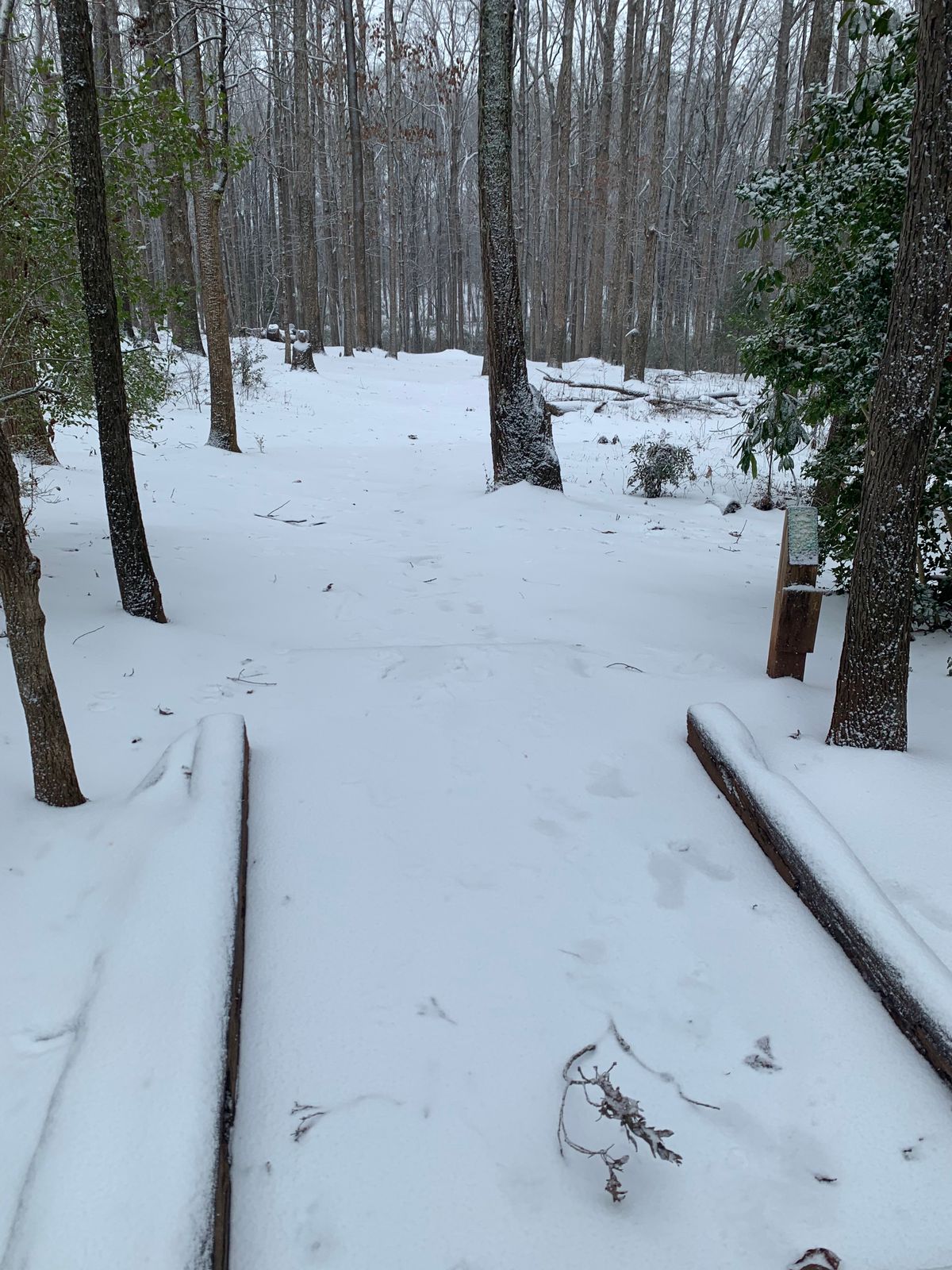 Hole 1 Tee Pad, Trails DGC….. snow version