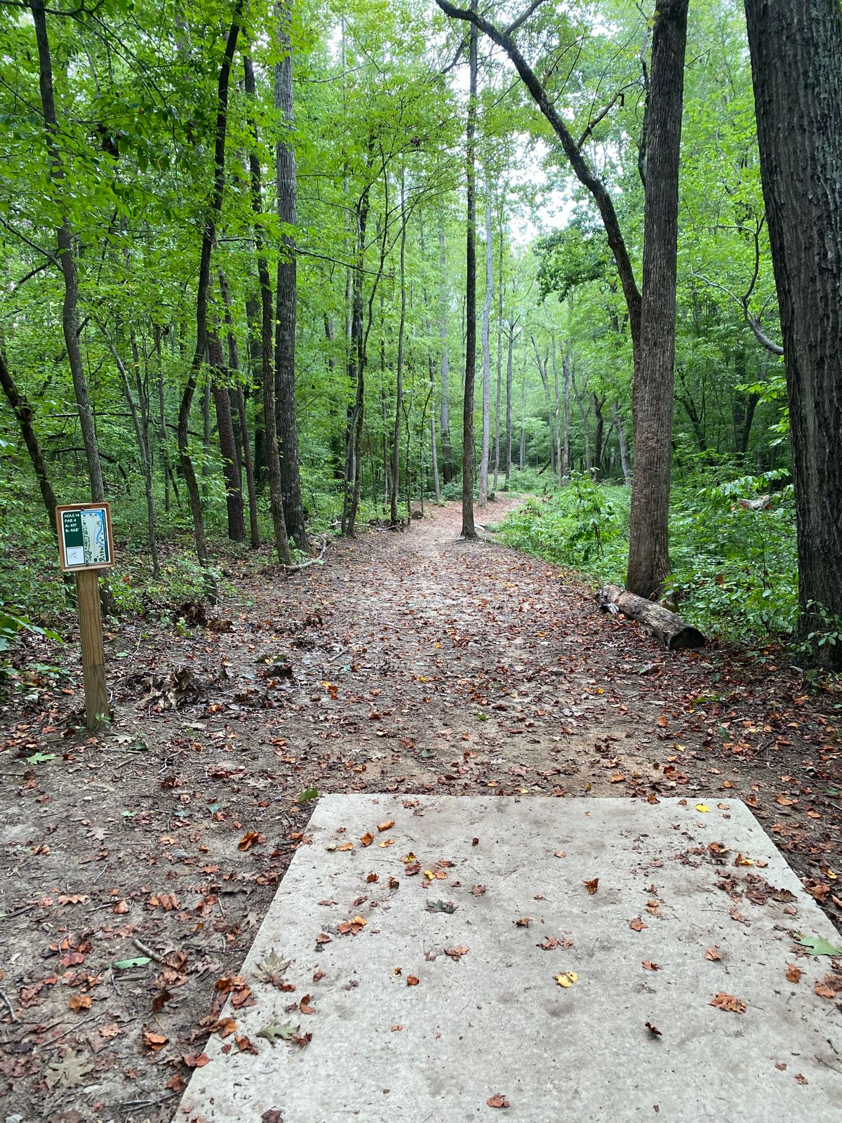 Hole 14