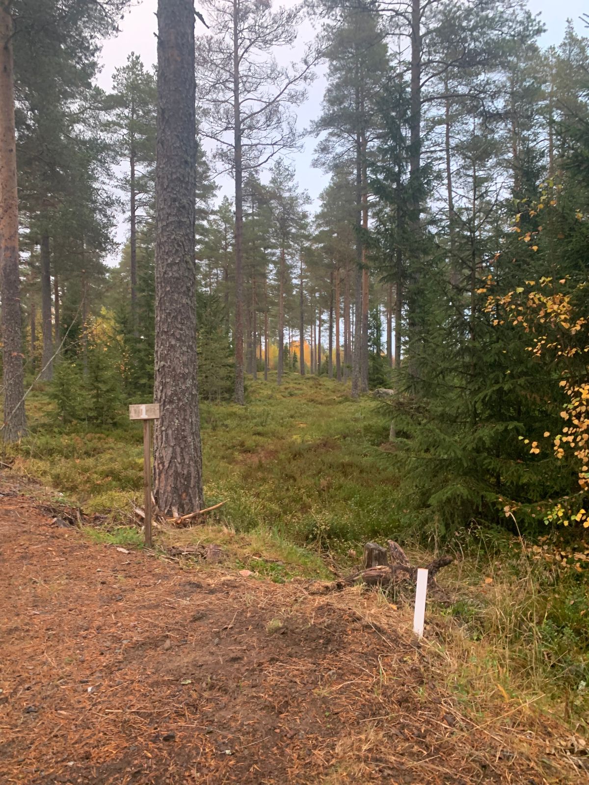 Hål 1 innan tee var byggt