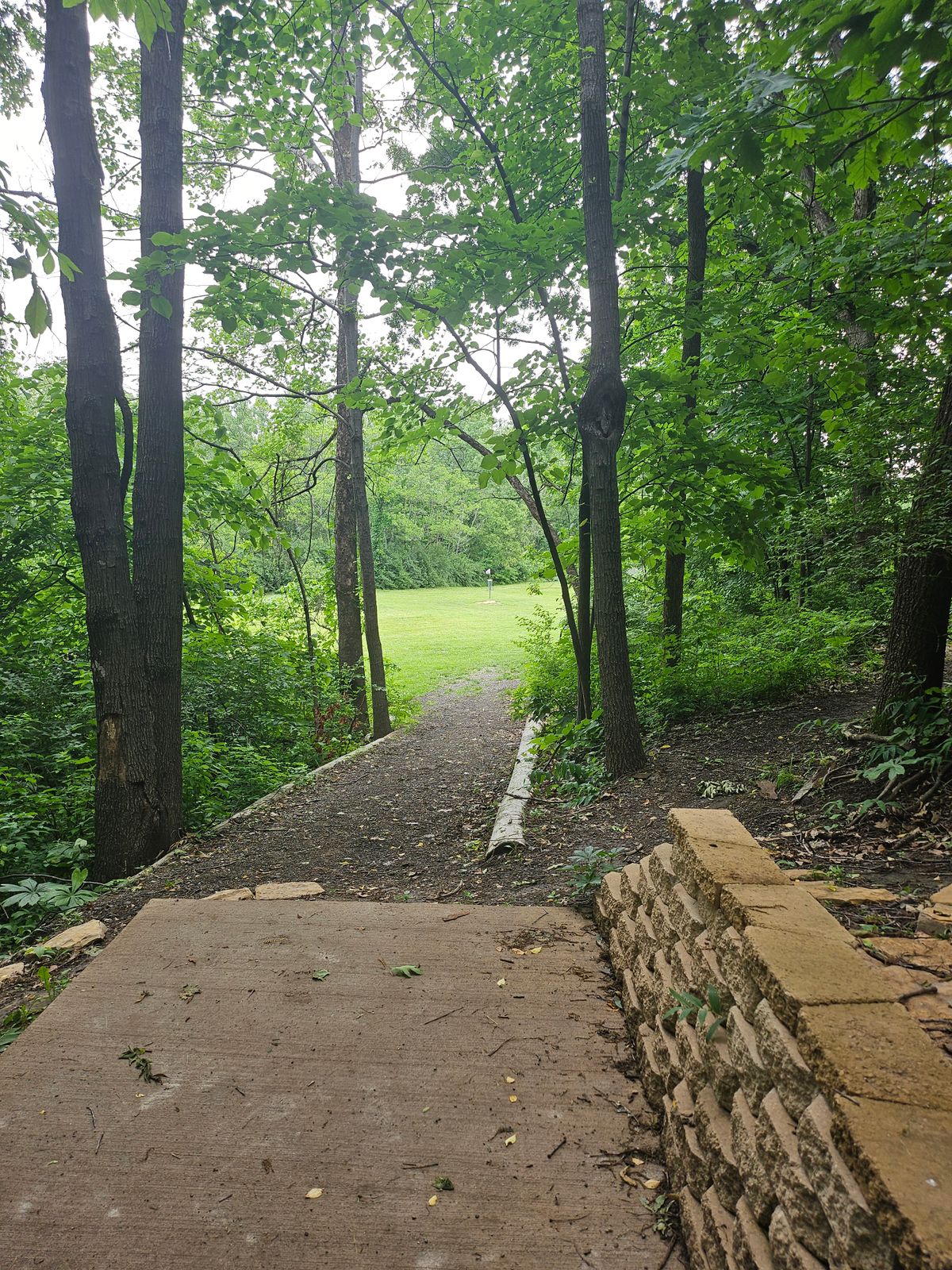 Hole 15