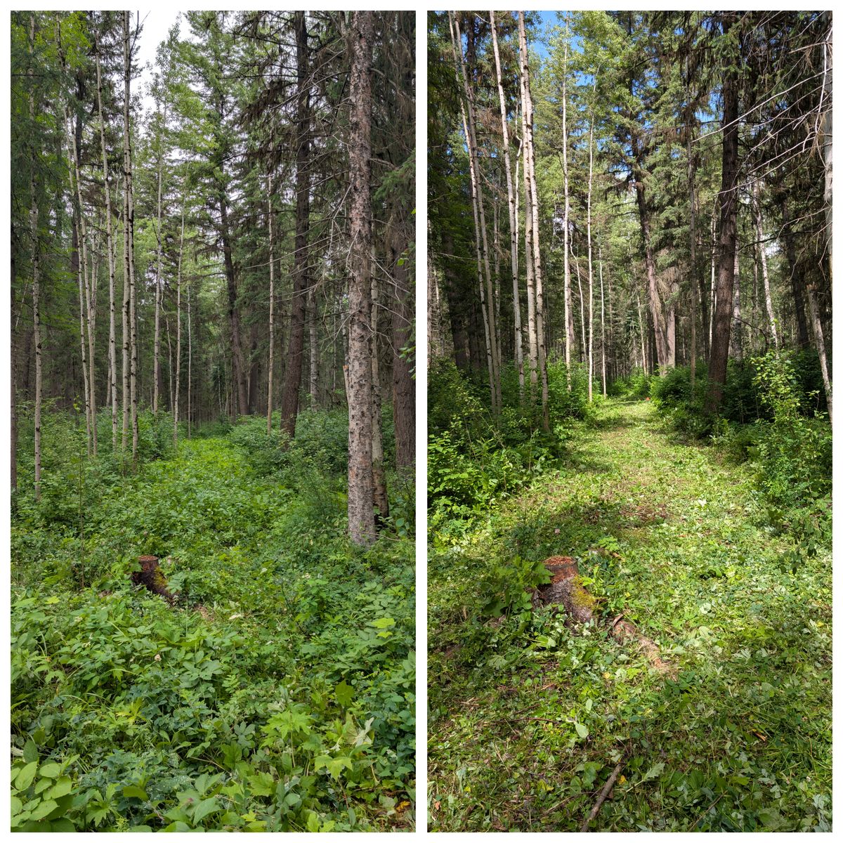 #3 a short hallway of a par 4