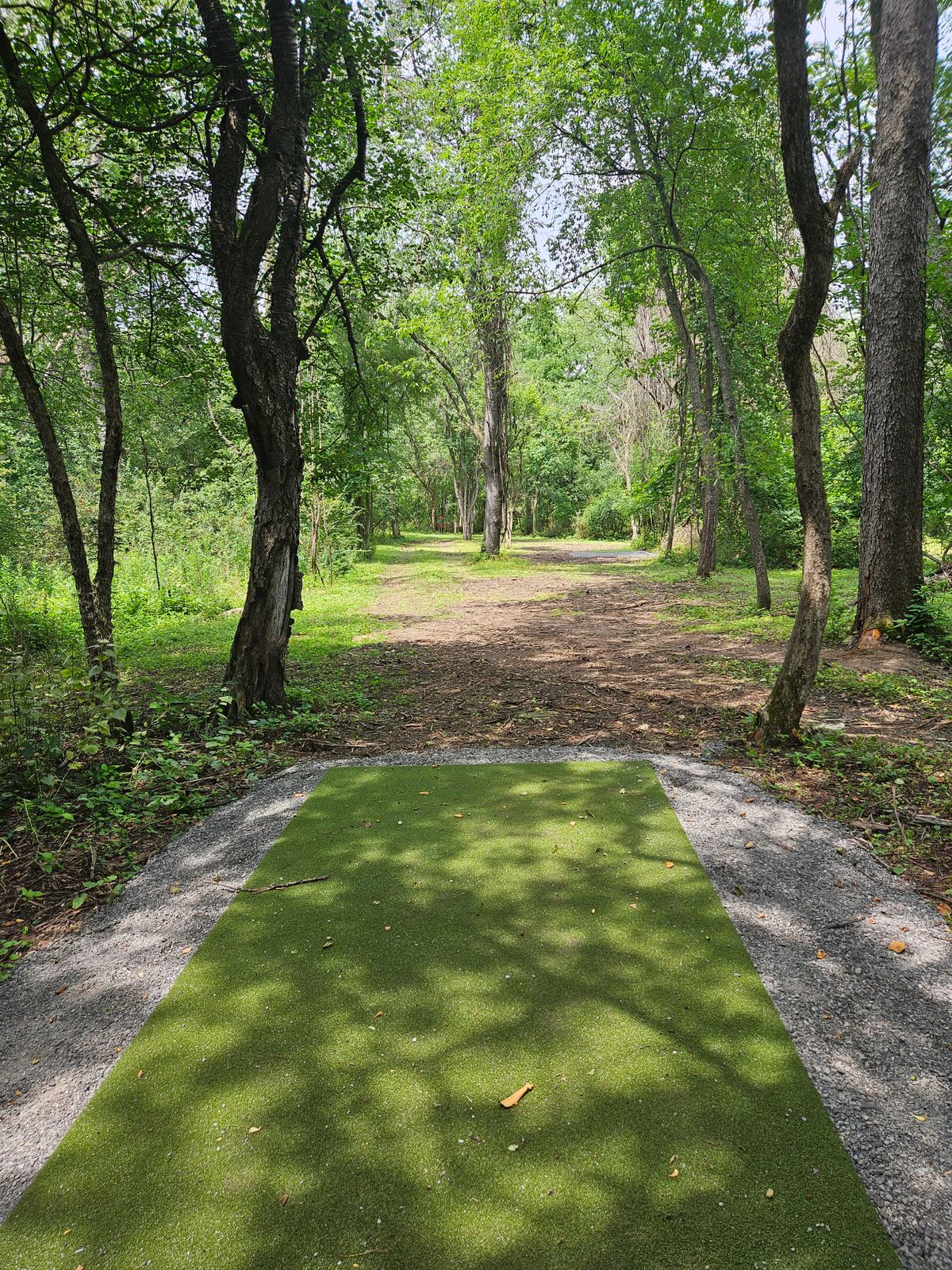 Hole 3 long tee