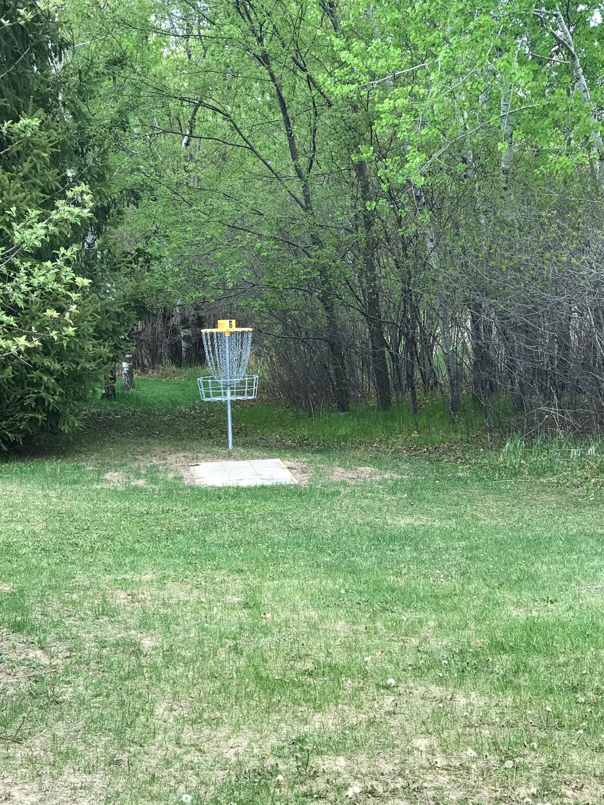 Hole 6